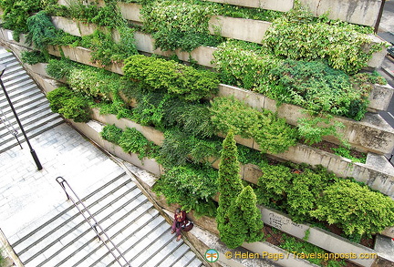 Vertical gardens, an increasingly common sight